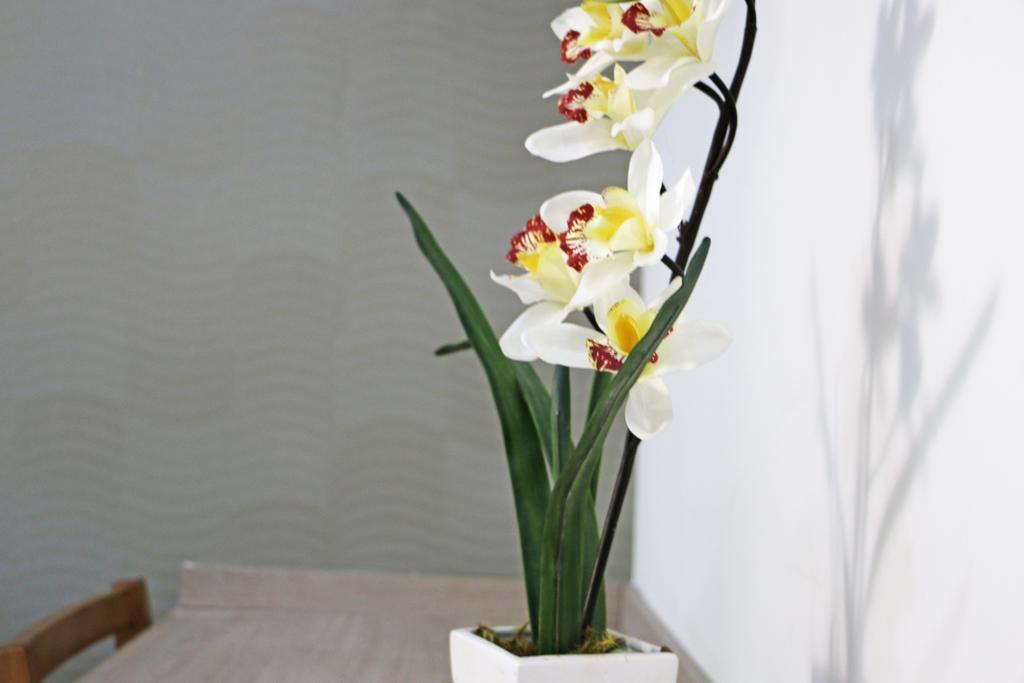 Pousada Shangrila ฮิเบเราเปรโต ห้อง รูปภาพ